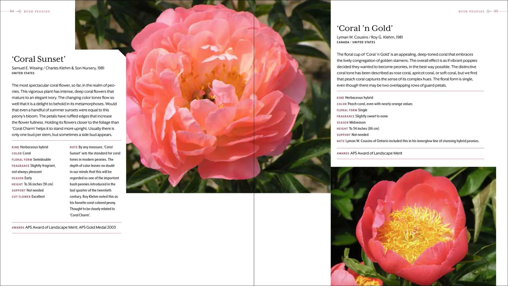 Bild: 9781604695205 | Peony | The Best Varieties for Your Garden | David C Michener (u. a.)