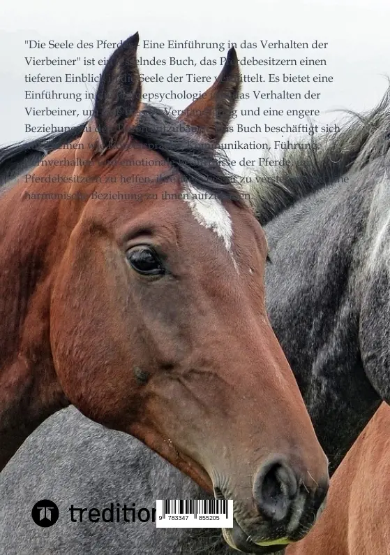 Bild: 9783347855205 | Die Seele des Pferdes | Moritz | Taschenbuch | 68 S. | Deutsch | 2023