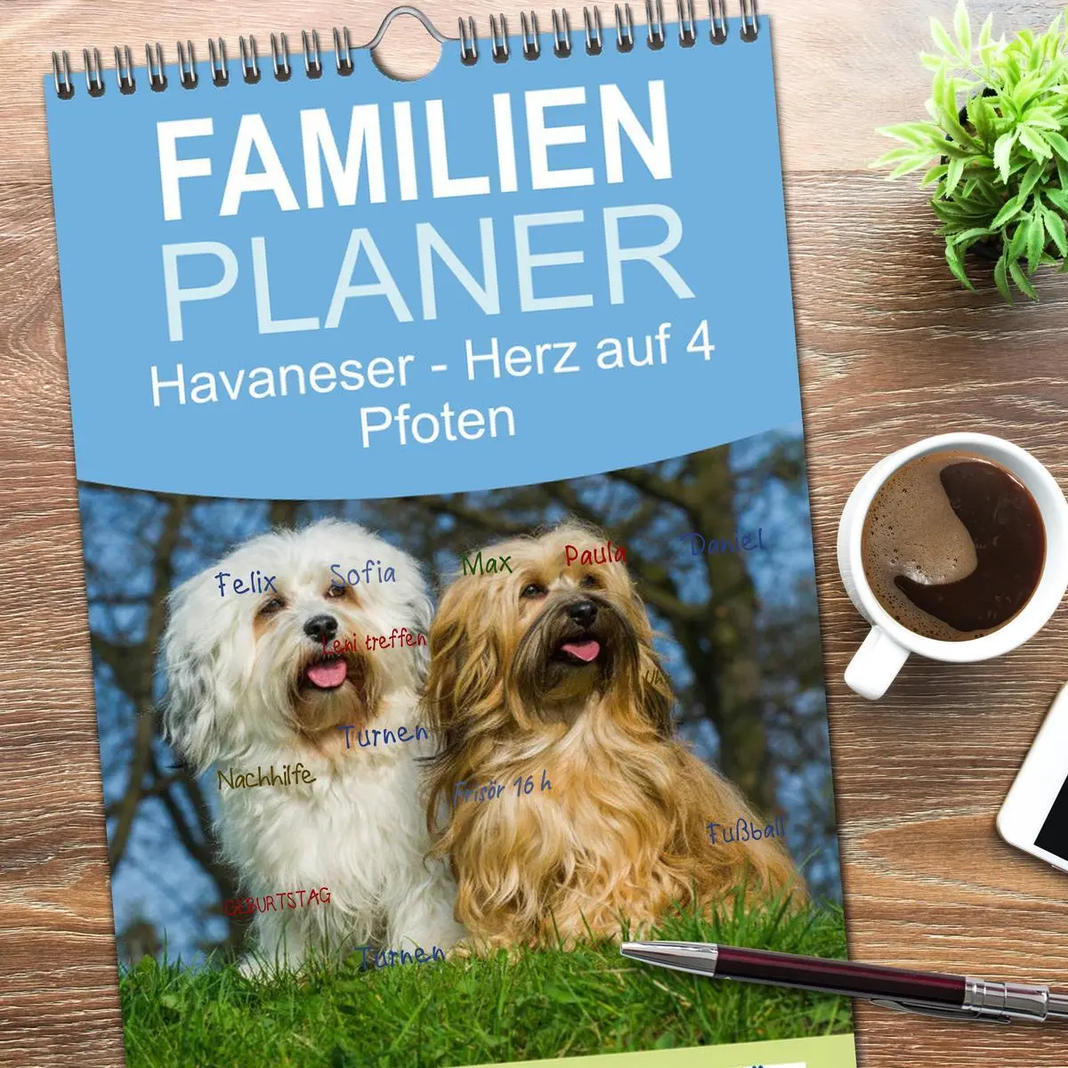 Bild: 9783457125205 | Familienplaner 2025 - Havaneser - Herz auf 4 Pfoten mit 5 Spalten...