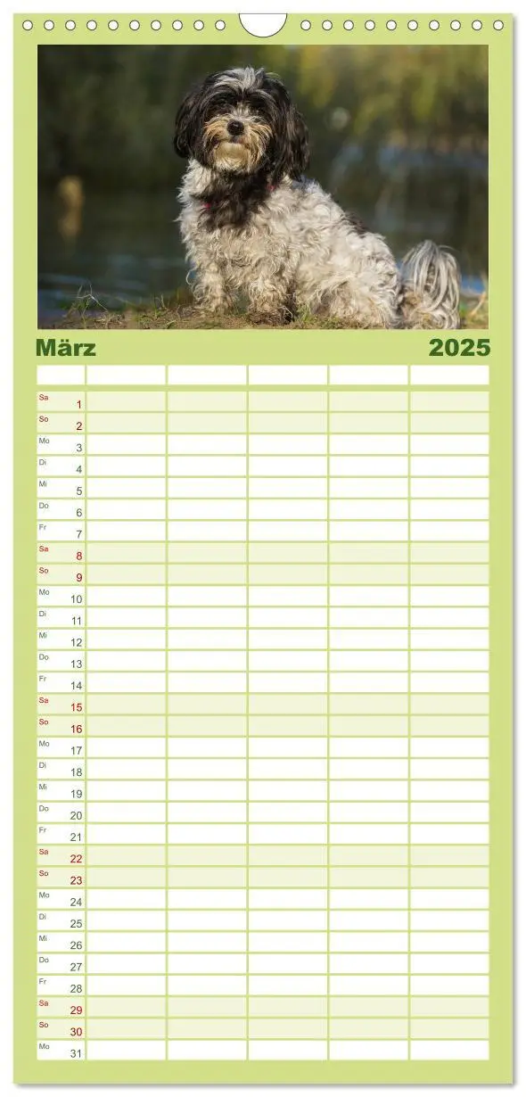 Bild: 9783457125205 | Familienplaner 2025 - Havaneser - Herz auf 4 Pfoten mit 5 Spalten...