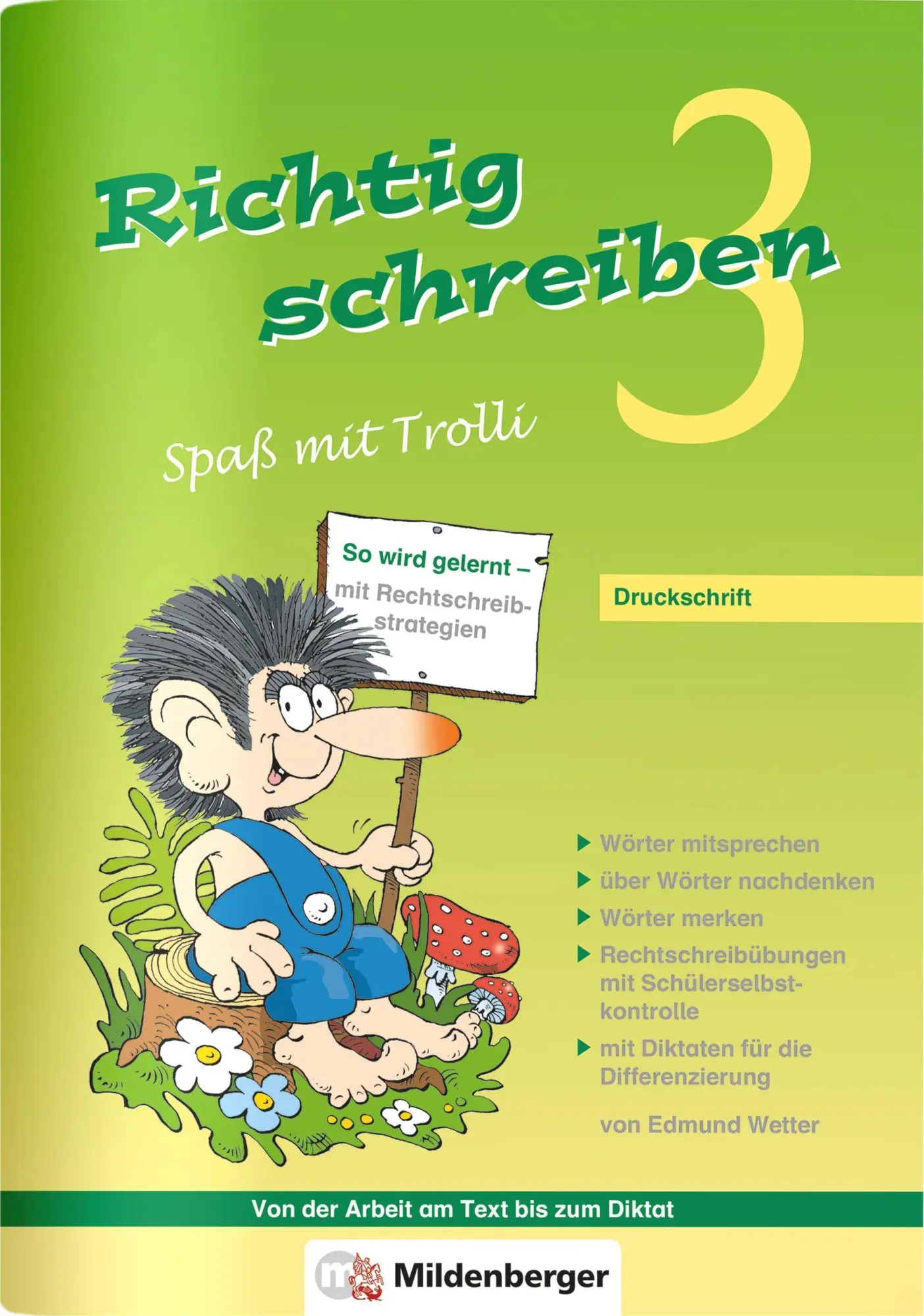 Cover: 9783619345205 | Richtig schreiben 3 - Spaß mit Trolli | Druckschrift 3. Schuljahr