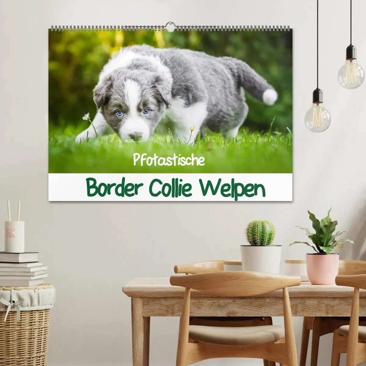 Bild: 9783516065305 | Pfotastische Border Collie Welpen (Wandkalender 2026 DIN A2 quer),...