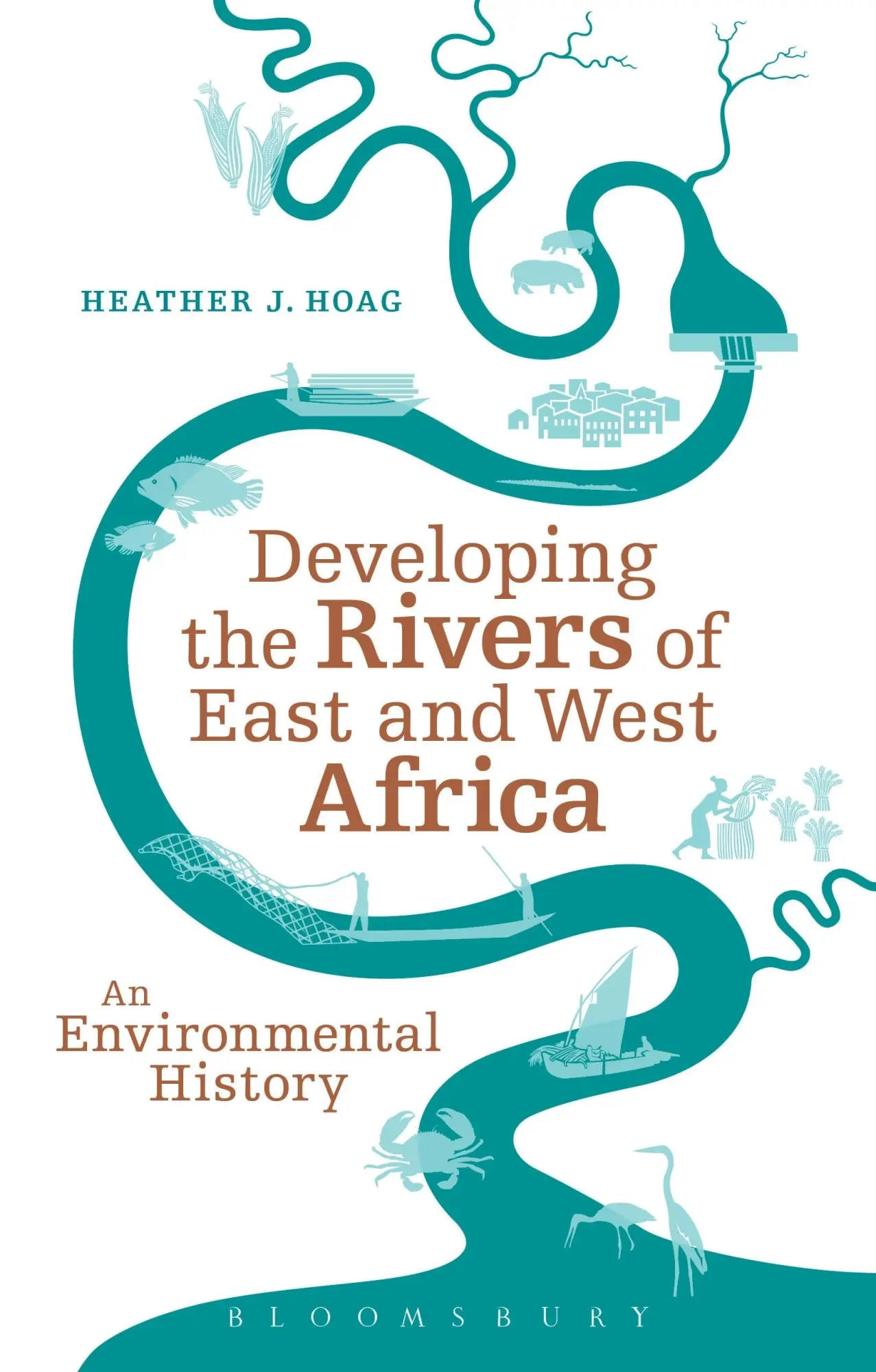 Cover: 9781441155405 | Developing the Rivers of East and West Africa | Heather J. Hoag | Buch