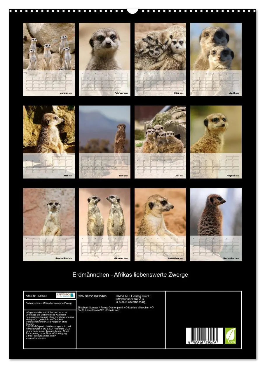 Bild: 9783516435405 | Erdmännchen - Afrikas liebenswerte Zwerge (hochwertiger Premium...