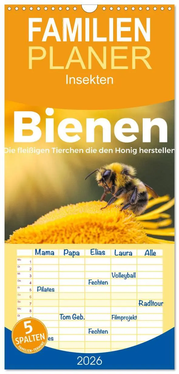 Cover: 9783516505405 | Familienplaner 2026 - Bienen - Die fleißigen Tierchen die den Honig...
