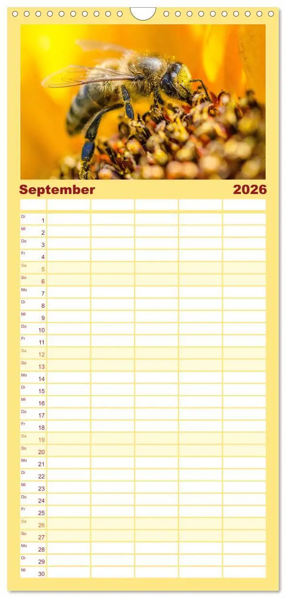 Bild: 9783516505405 | Familienplaner 2026 - Bienen - Die fleißigen Tierchen die den Honig...