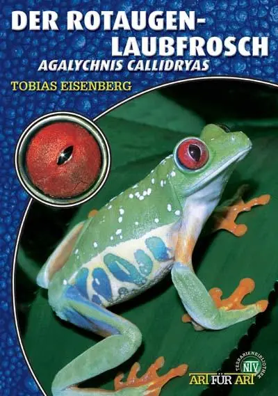 Cover: 9783937285405 | Der Rotaugenlaubfrosch | Agalychnis callidryas | Tobias Eisenberg