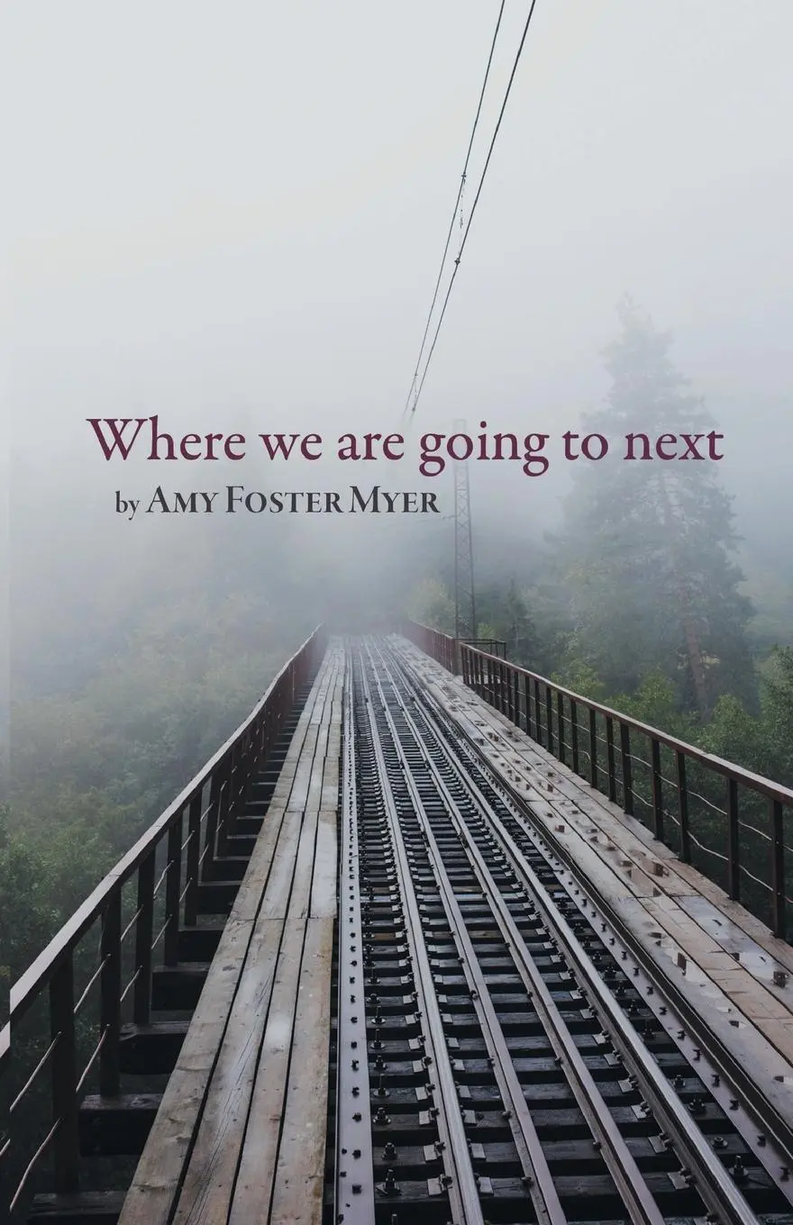 Cover: 9781646625505 | Where we are going to next | Amy Myer | Taschenbuch | Englisch | 2021