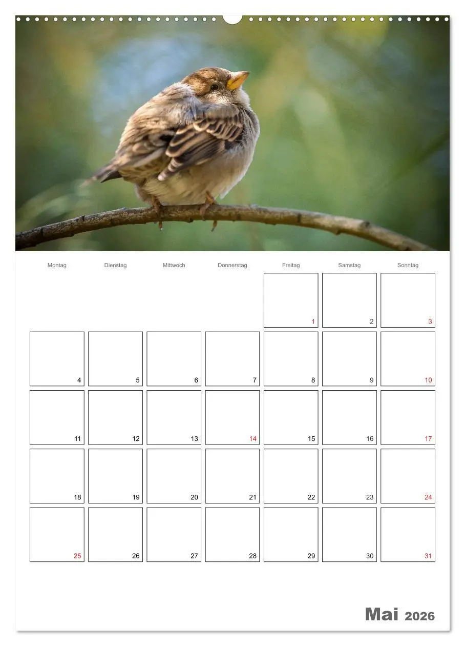 Bild: 9783516425505 | Vögel im heimischen Garten (Wandkalender 2026 DIN A2 hoch),...