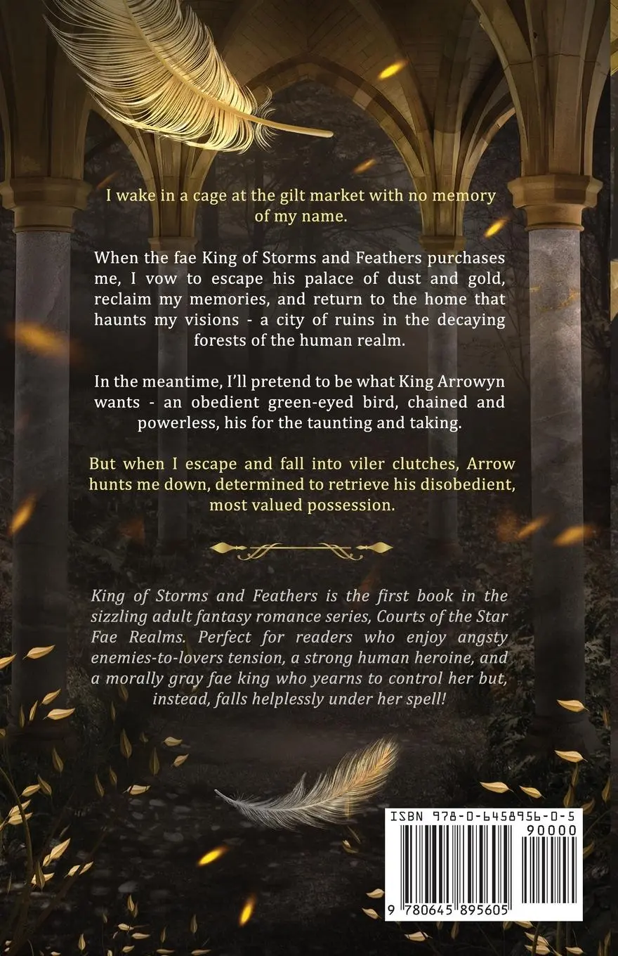 Rückseite: 9780645895605 | King of Storms and Feathers | Juno Heart | Taschenbuch | Englisch