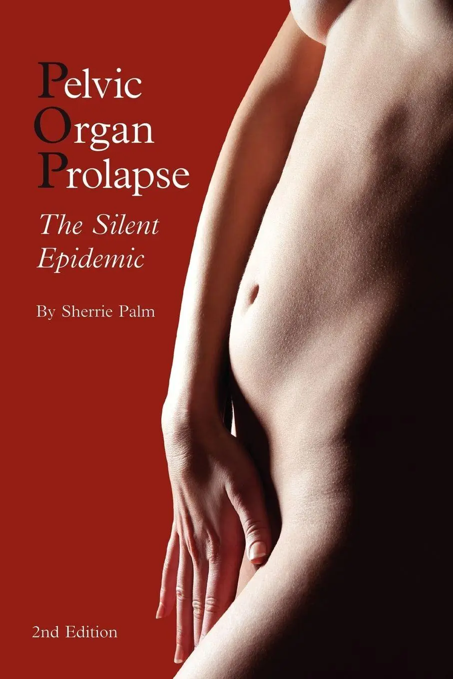 Cover: 9780985535605 | Pelvic Organ Prolapse | The Silent Epidemic | Sherrie J Palm | Buch