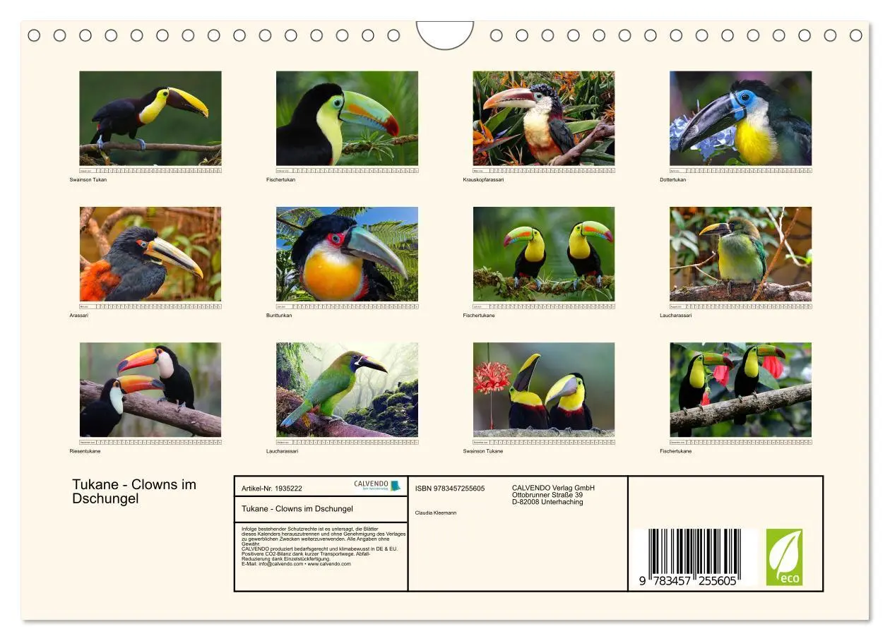 Bild: 9783457255605 | Tukane - Clowns im Dschungel (Wandkalender 2026 DIN A4 quer),...