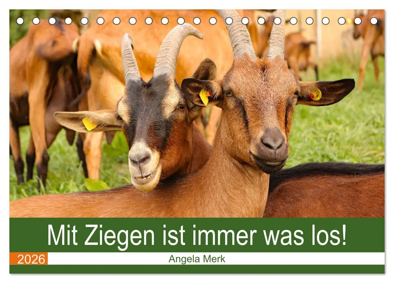 Cover: 9783457635605 | Mit Ziegen ist immer was los! (Tischkalender 2026 DIN A5 quer),...