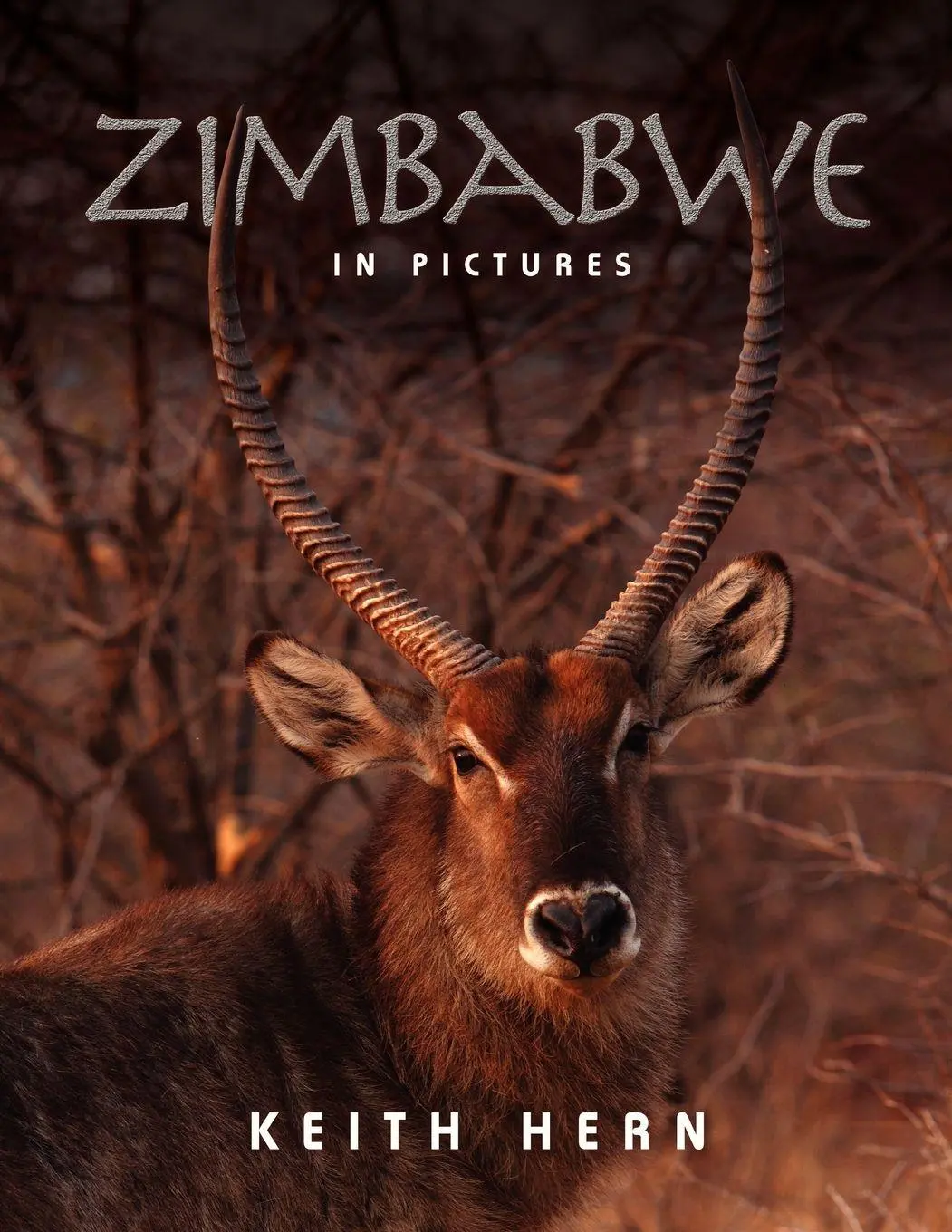Cover: 9781907685705 | Zimbabwe in Pictures | Keith Hern | Taschenbuch | Englisch | 2010