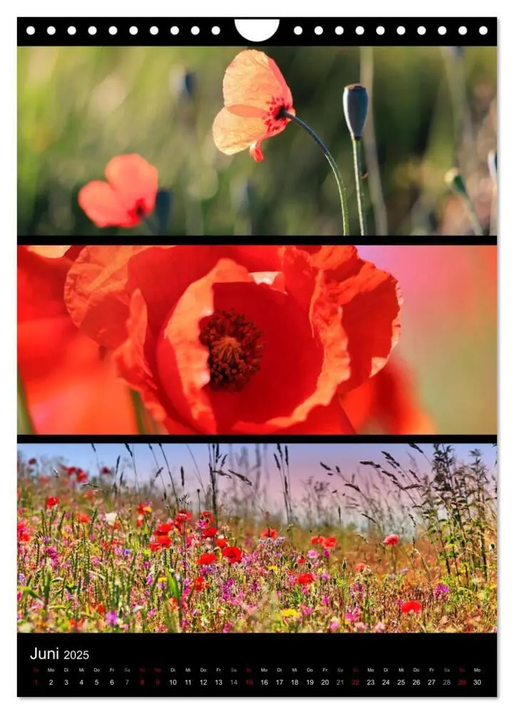 Bild: 9783435915705 | Bezaubernde Farben der Natur (Wandkalender 2025 DIN A4 hoch),...