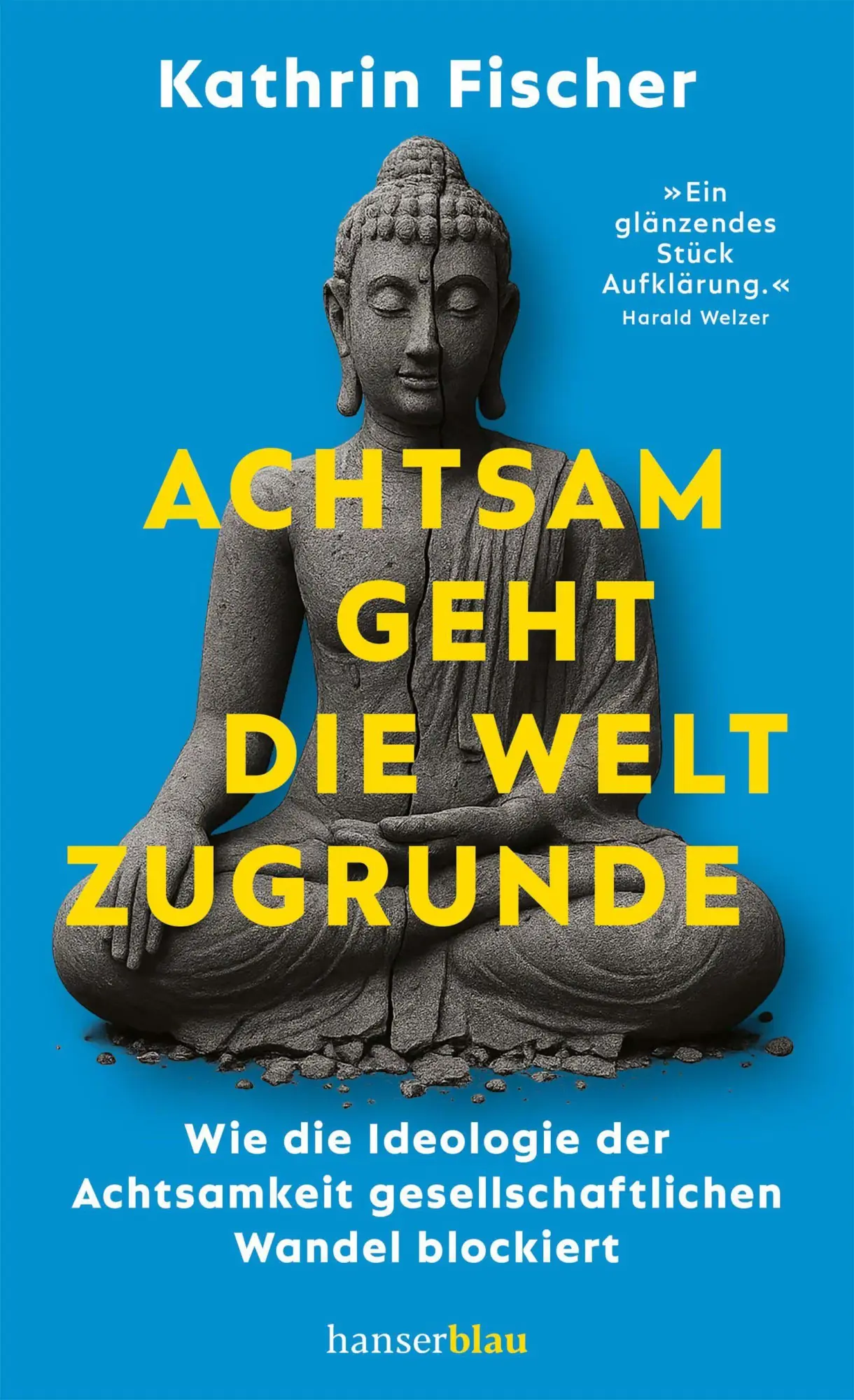 Cover: 9783446285705 | Achtsam geht die Welt zugrunde | Kathrin Fischer | Buch | 256 S.