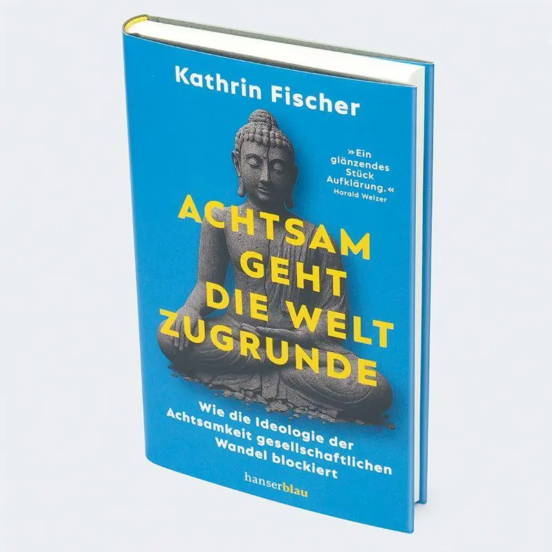 Bild: 9783446285705 | Achtsam geht die Welt zugrunde | Kathrin Fischer | Buch | 256 S.