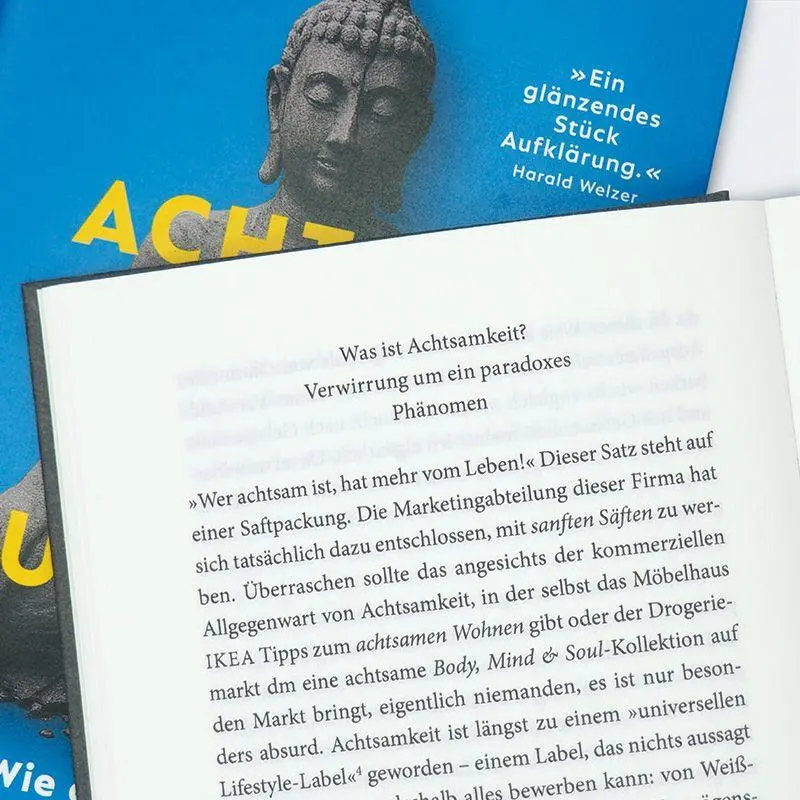 Bild: 9783446285705 | Achtsam geht die Welt zugrunde | Kathrin Fischer | Buch | 256 S.