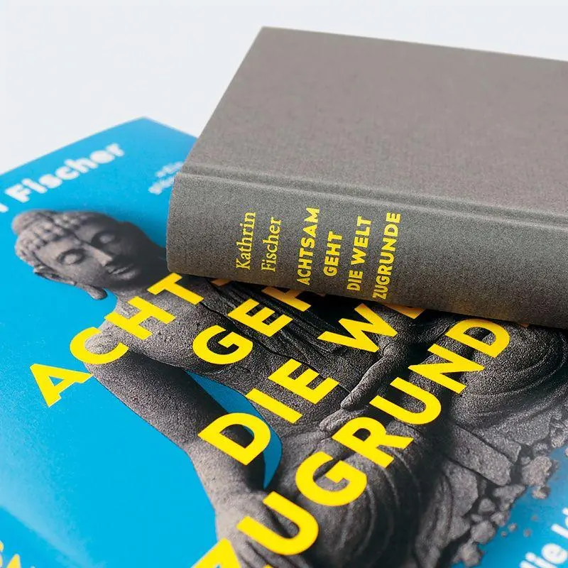 Bild: 9783446285705 | Achtsam geht die Welt zugrunde | Kathrin Fischer | Buch | 256 S.