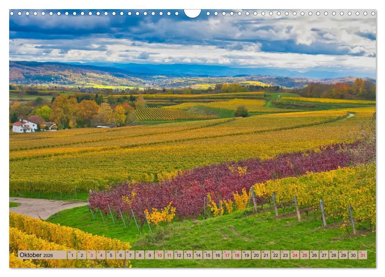 Bild: 9783457625705 | Ortenau - die badische Toskana (Wandkalender 2026 DIN A3 quer),...