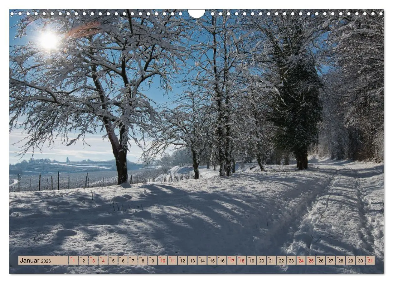 Bild: 9783457625705 | Ortenau - die badische Toskana (Wandkalender 2026 DIN A3 quer),...