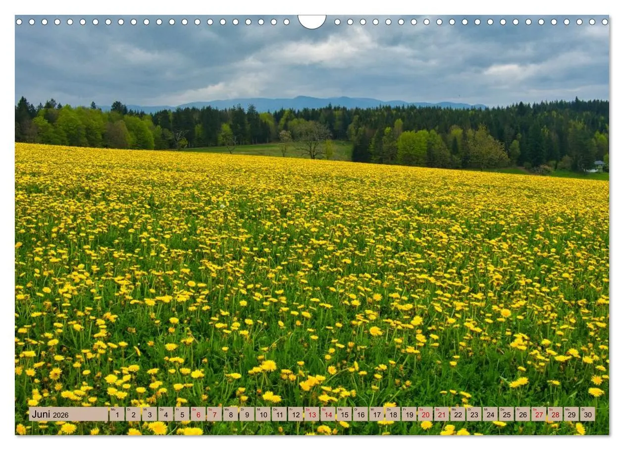 Bild: 9783457625705 | Ortenau - die badische Toskana (Wandkalender 2026 DIN A3 quer),...