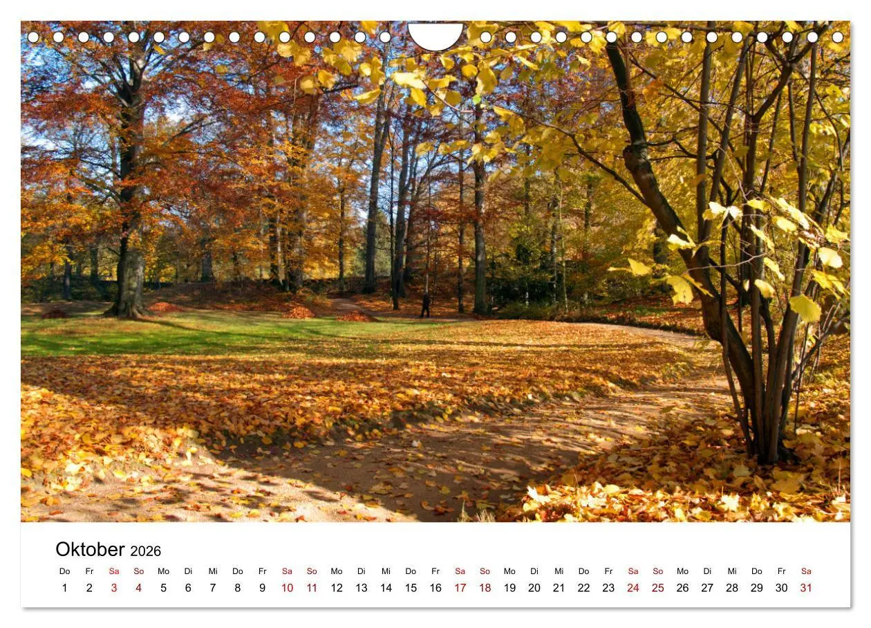 Bild: 9783457865705 | Waldheim (Wandkalender 2026 DIN A4 quer), CALVENDO Monatskalender | de