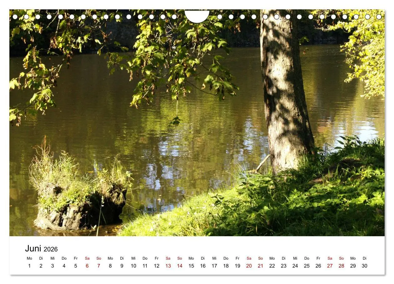 Bild: 9783457865705 | Waldheim (Wandkalender 2026 DIN A4 quer), CALVENDO Monatskalender | de