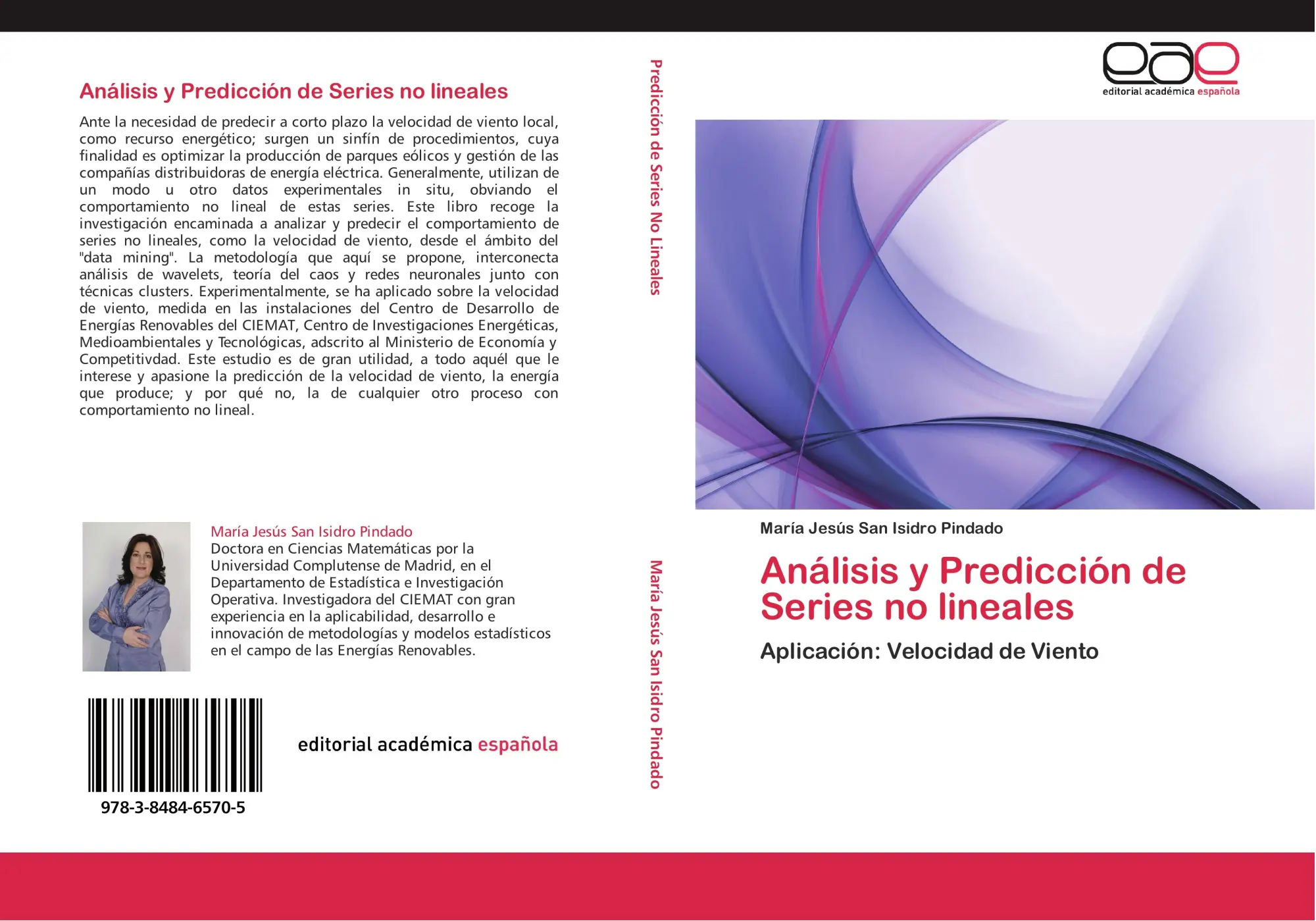 Cover: 9783848465705 | Análisis y Predicción de Series no lineales | Pindado | Taschenbuch