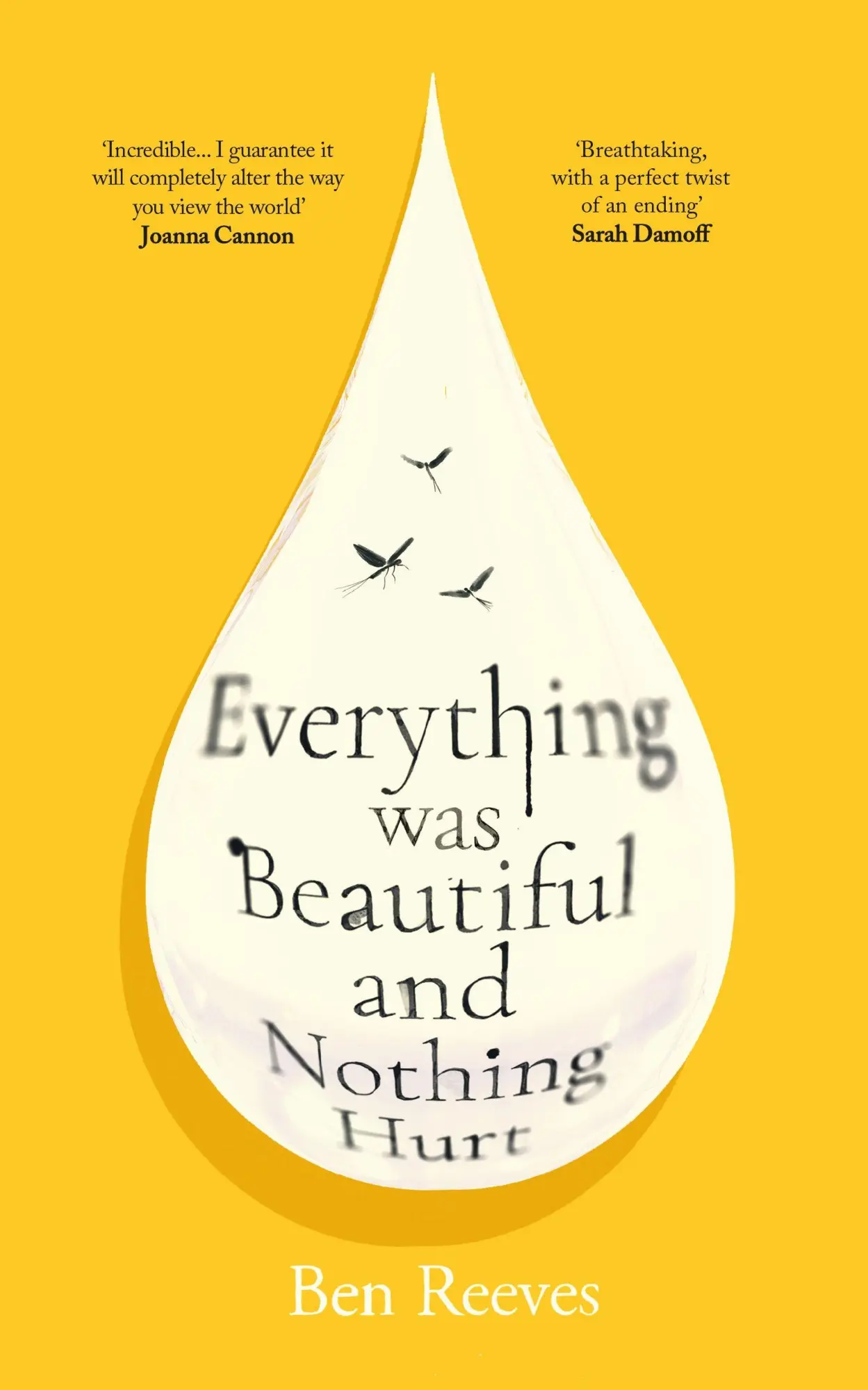 Cover: 9781805465805 | Everything was Beautiful and Nothing Hurt | Ben Reeves | Taschenbuch