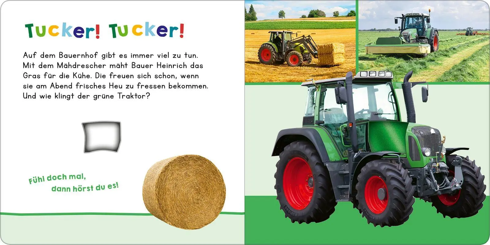 Bild: 9783845865805 | Hör mal rein, wer kann das sein? - Meine ersten Fahrzeuge | Buch