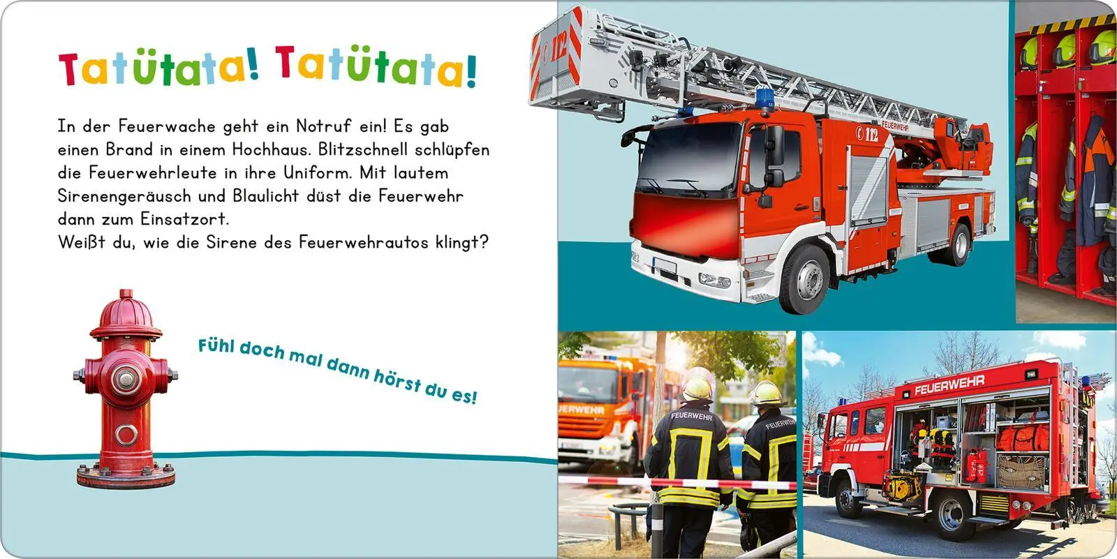 Bild: 9783845865805 | Hör mal rein, wer kann das sein? - Meine ersten Fahrzeuge | Buch