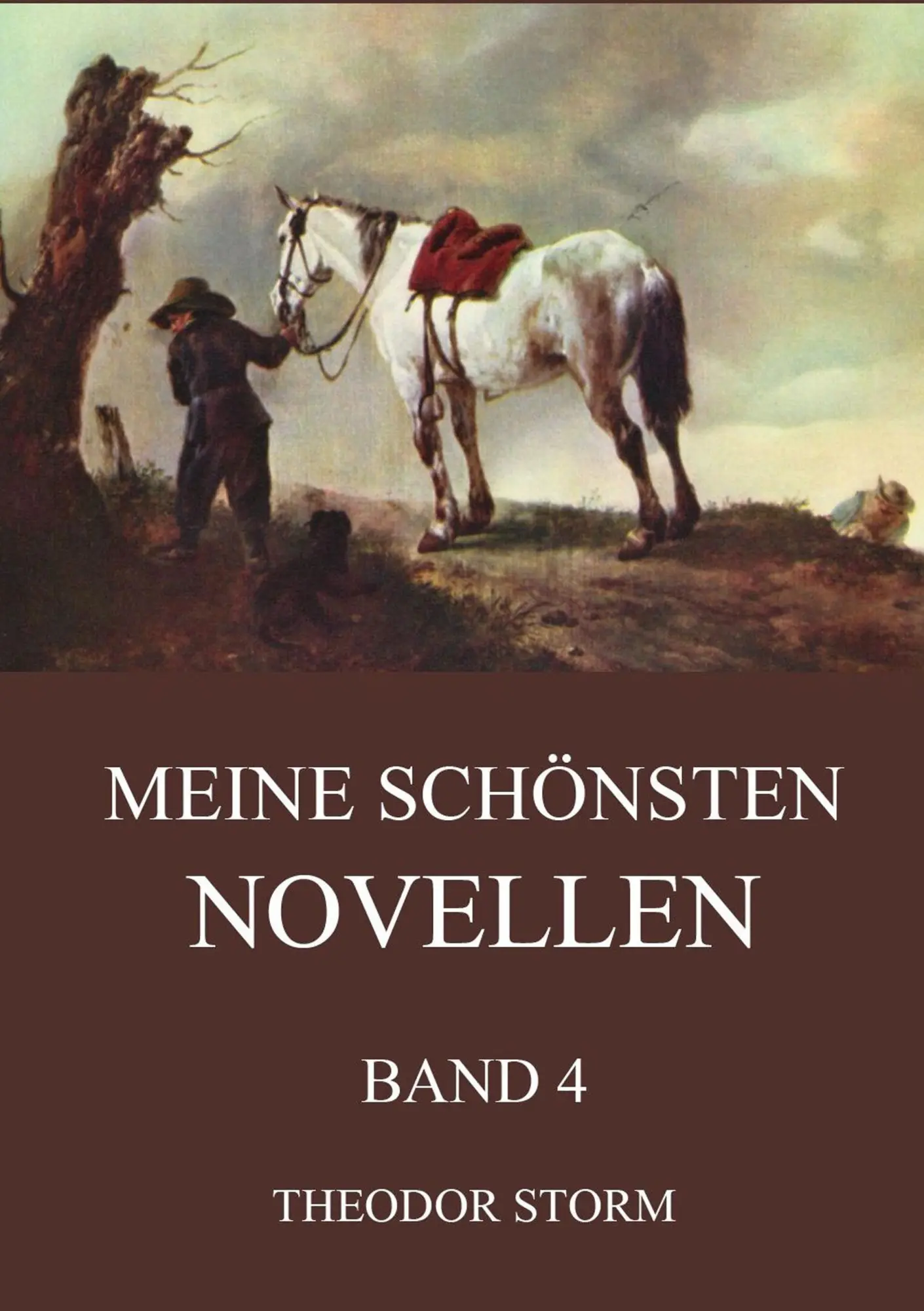 Cover: 9783849685805 | Meine schönsten Novellen, Band 4 | Theodor Storm | Taschenbuch | 2016