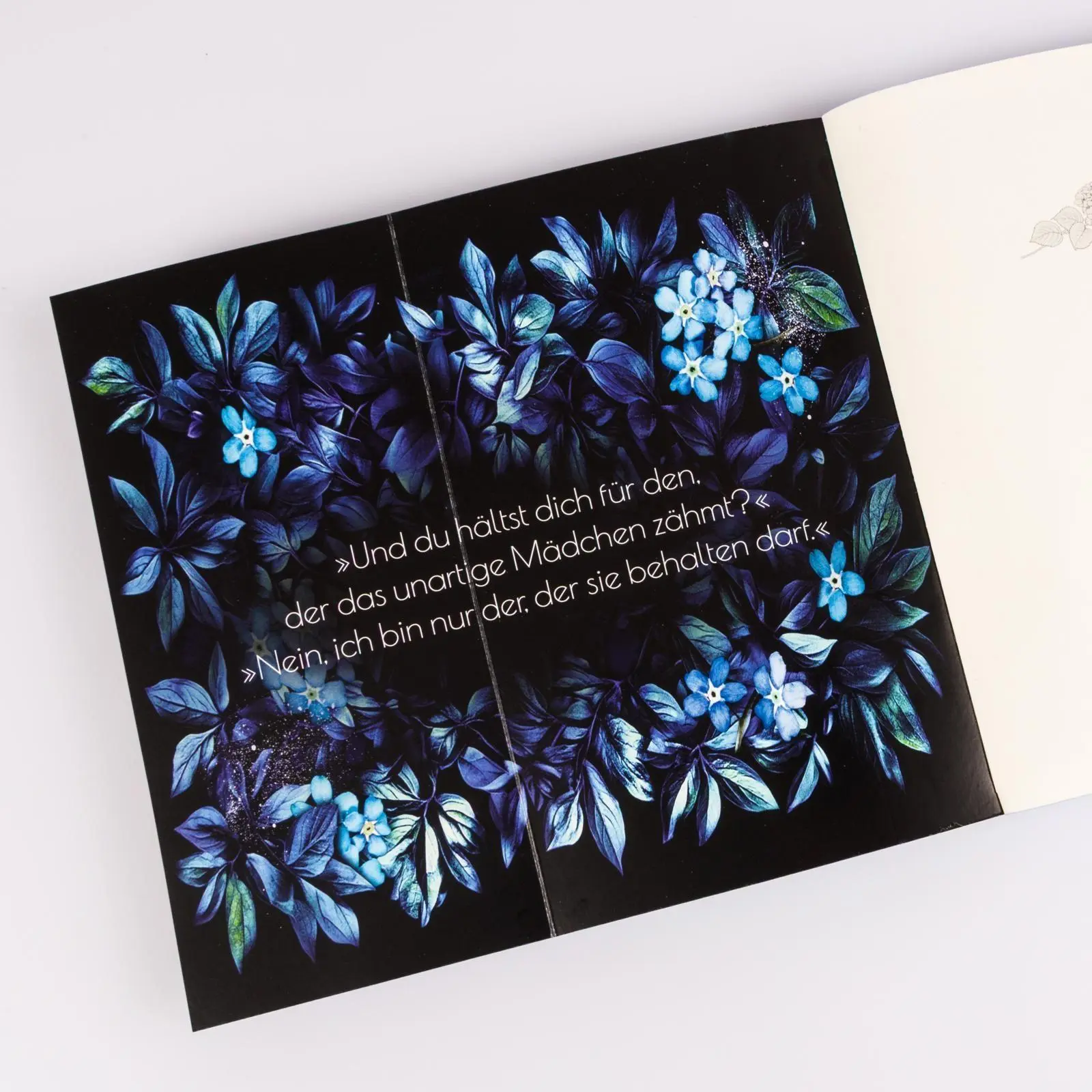 Bild: 9783551585905 | Where Bad Girls go to Fall (Good Girls 2) | Holly Renee | Taschenbuch