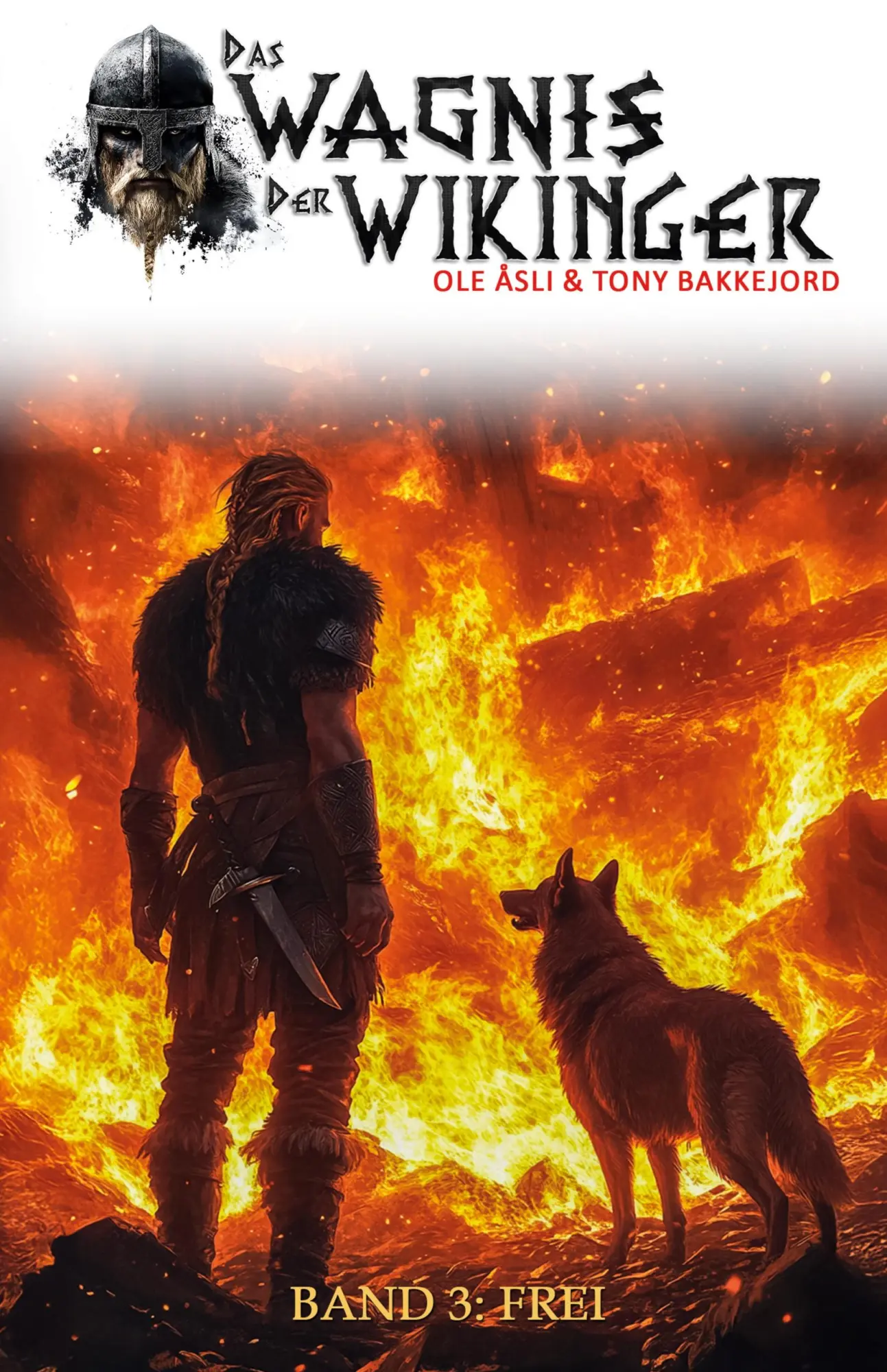 Cover: 9783964035905 | Das Wagnis der Wikinger - Band 3 | Ole Åsli (u. a.) | Taschenbuch