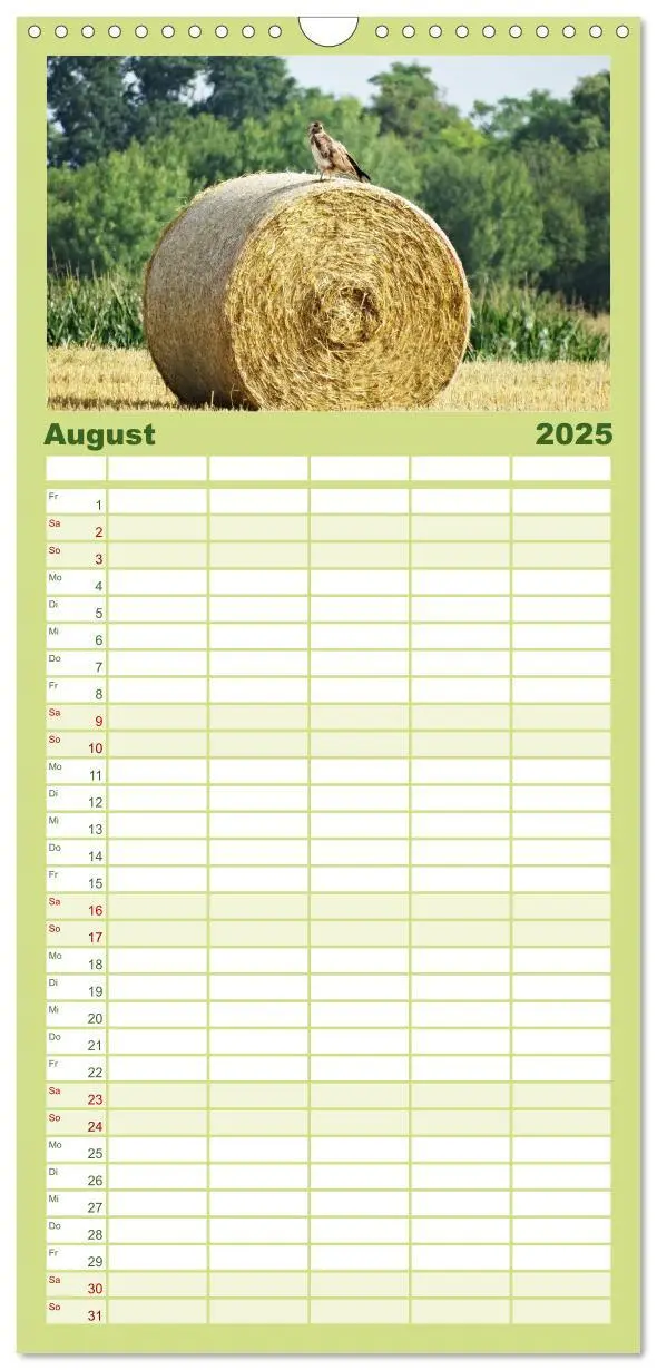 Bild: 9783457116005 | Familienplaner 2025 - Jahreszeiten mit 5 Spalten (Wandkalender, 21...