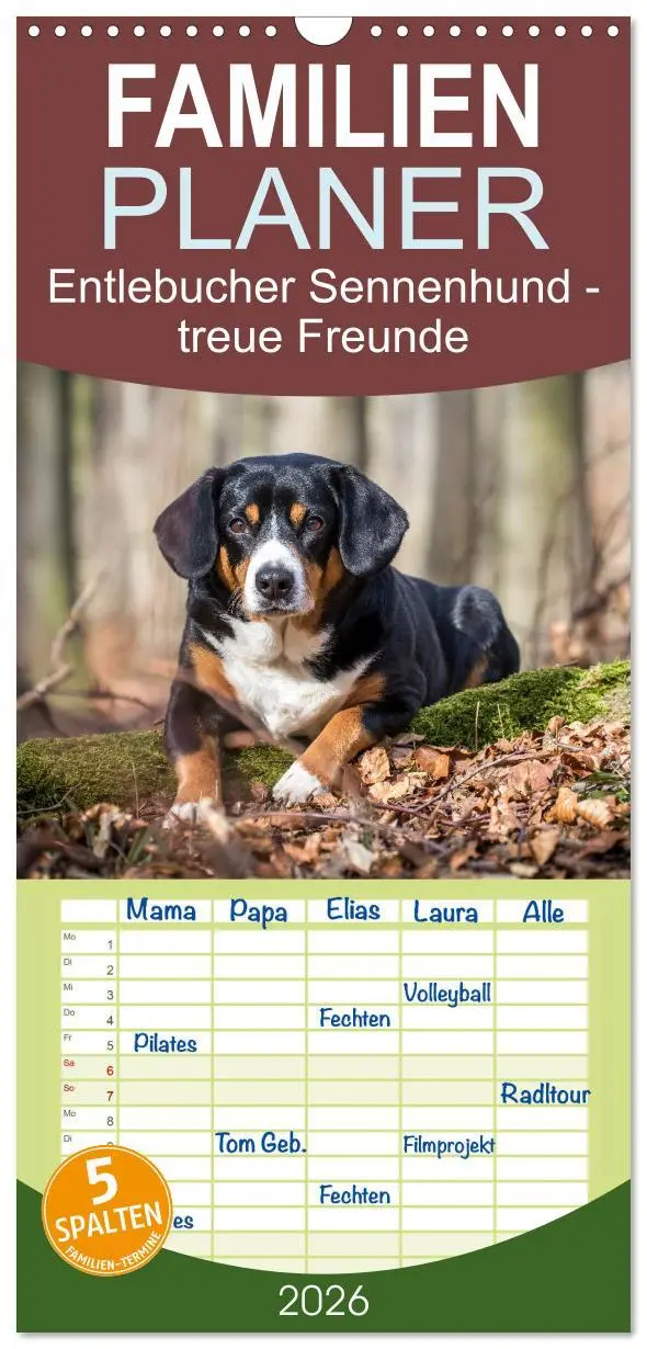 Cover: 9783516516005 | Familienplaner 2026 - Entlebucher Sennenhund - treue Freunde mit 5...