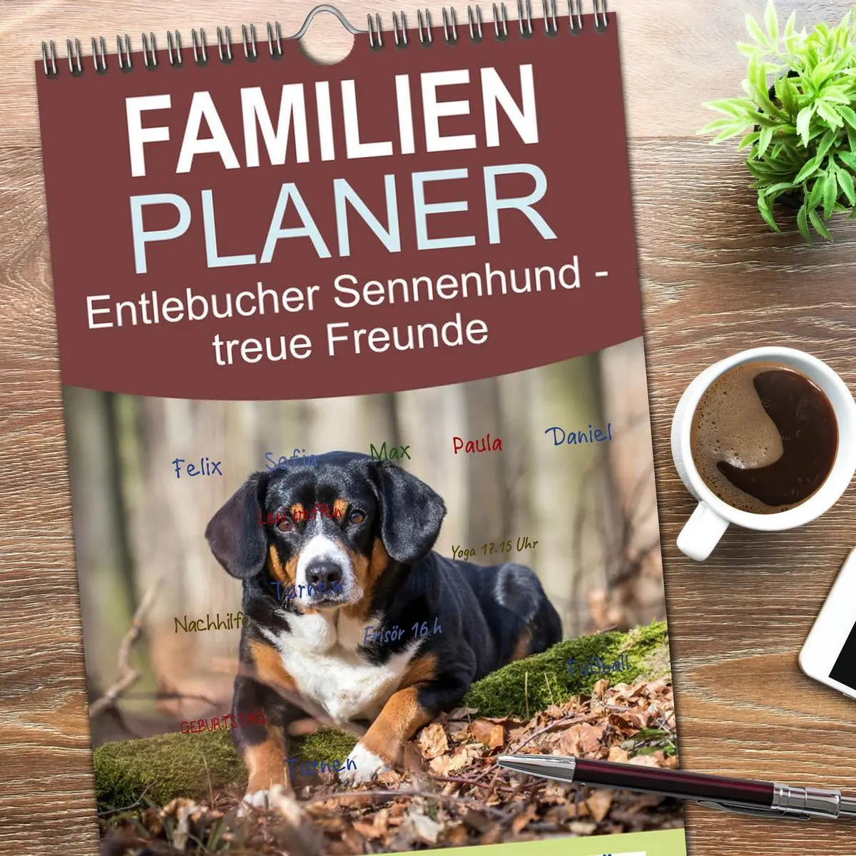 Bild: 9783516516005 | Familienplaner 2026 - Entlebucher Sennenhund - treue Freunde mit 5...