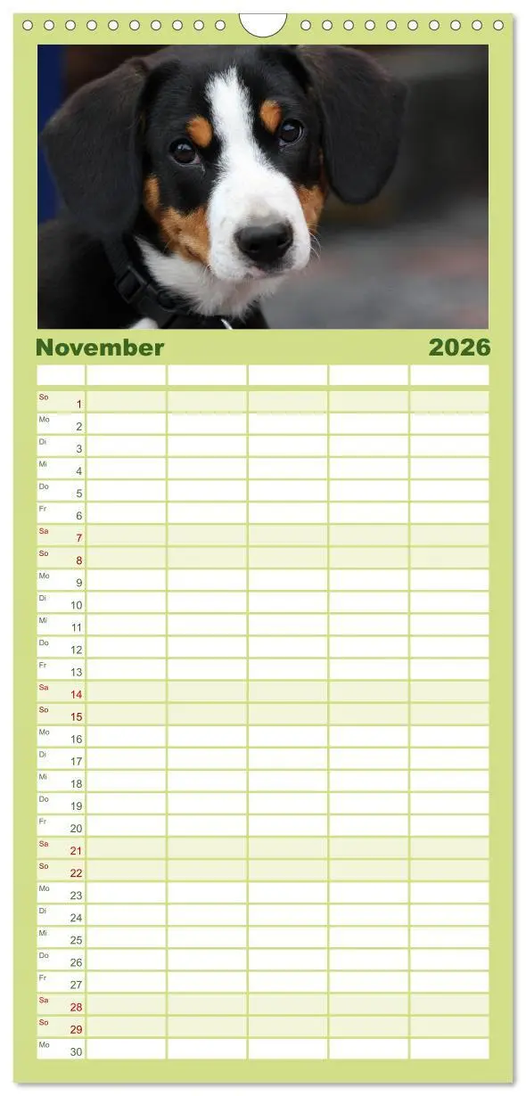 Bild: 9783516516005 | Familienplaner 2026 - Entlebucher Sennenhund - treue Freunde mit 5...