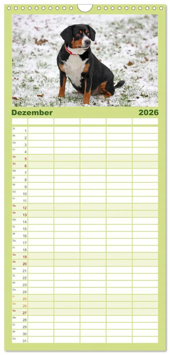 Bild: 9783516516005 | Familienplaner 2026 - Entlebucher Sennenhund - treue Freunde mit 5...