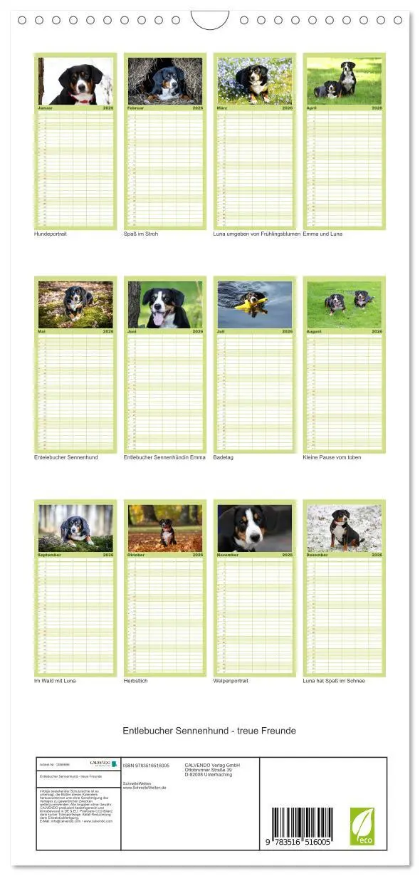 Bild: 9783516516005 | Familienplaner 2026 - Entlebucher Sennenhund - treue Freunde mit 5...