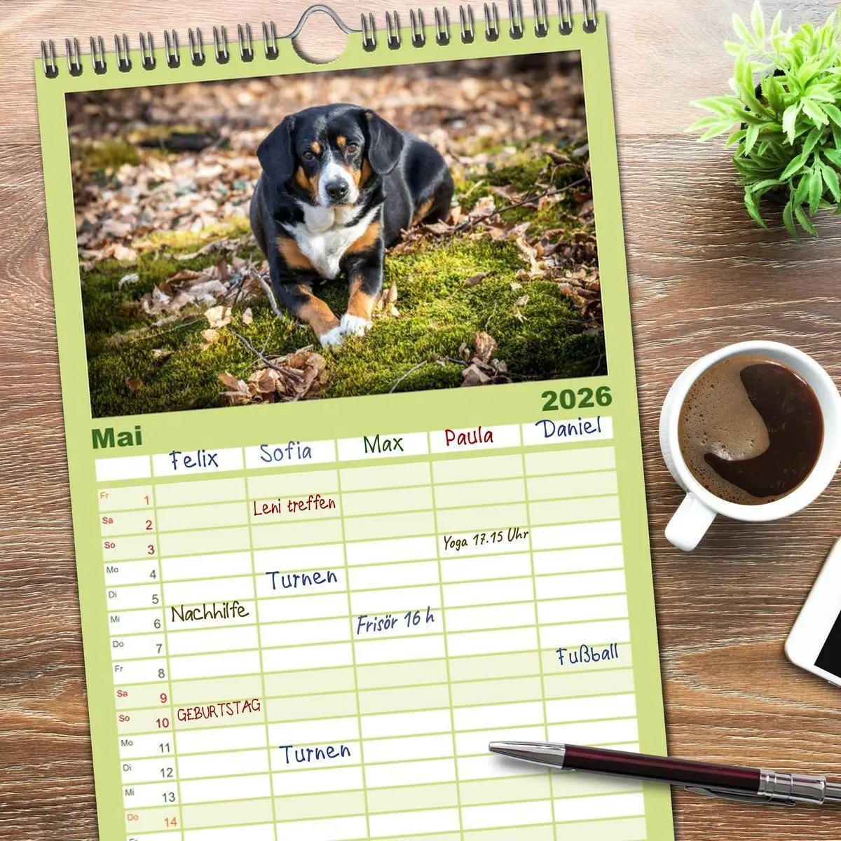 Bild: 9783516516005 | Familienplaner 2026 - Entlebucher Sennenhund - treue Freunde mit 5...