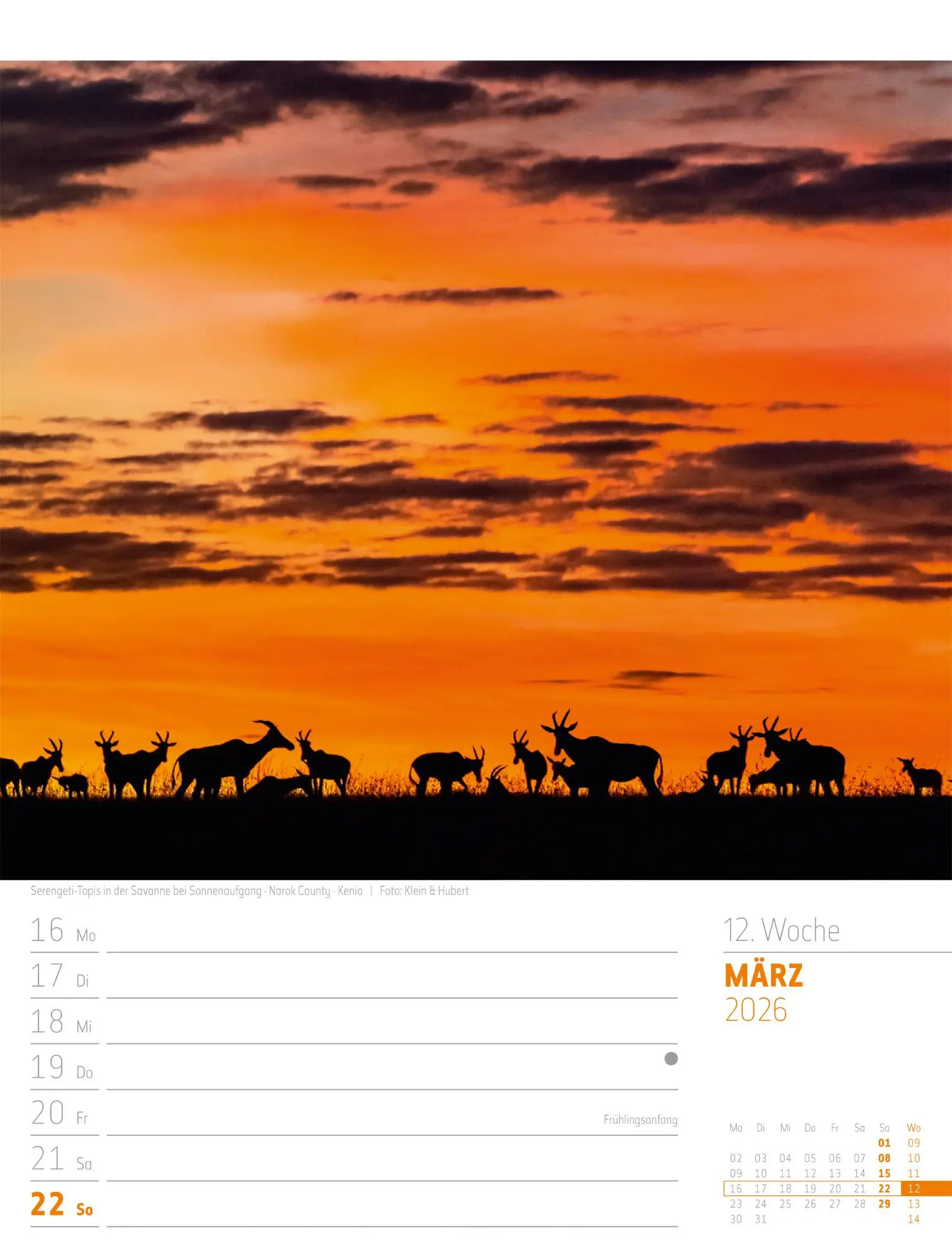 Bild: 9783838436005 | Planet Erde - Landschaften der Welt - Wochenplaner Kalender 2026