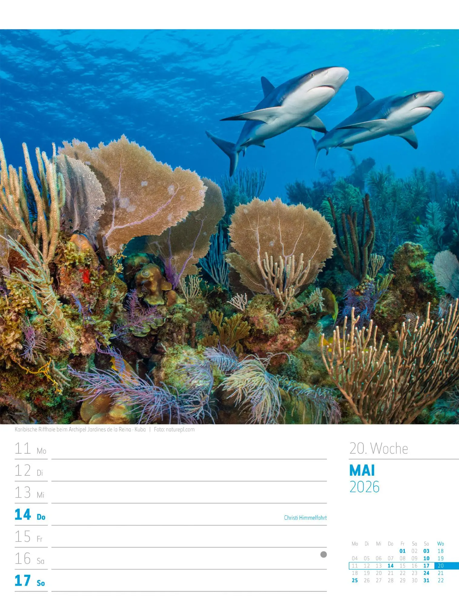 Bild: 9783838436005 | Planet Erde - Landschaften der Welt - Wochenplaner Kalender 2026