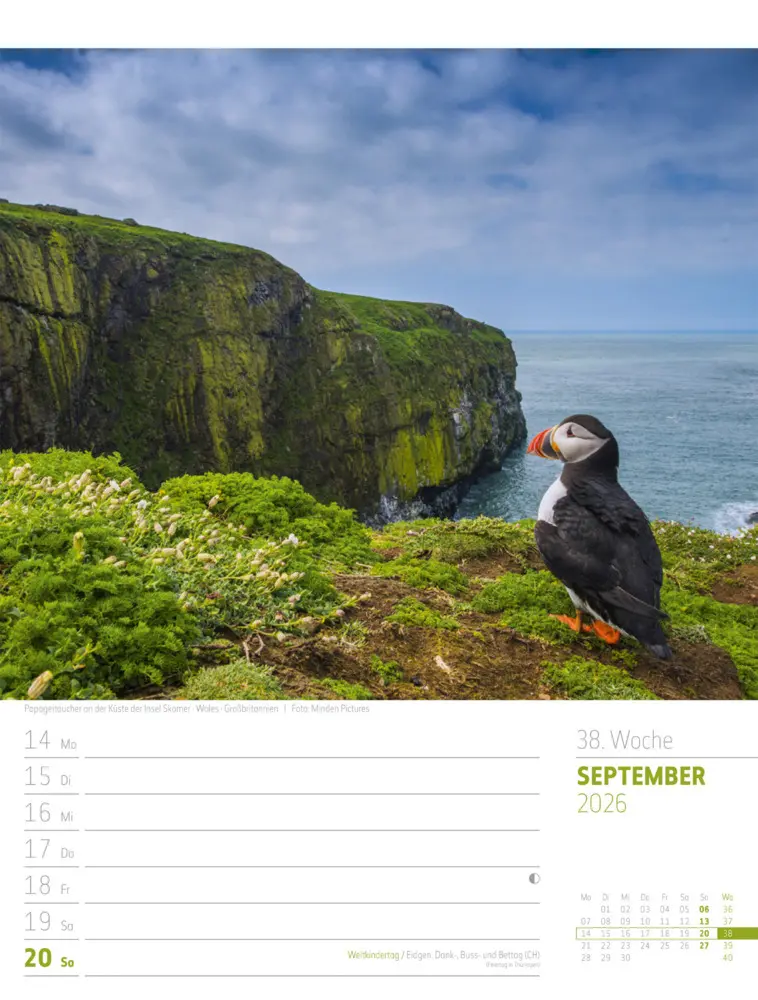Bild: 9783838436005 | Planet Erde Wochenplaner Kalender 2026 Landschaften der Welt | GmbH