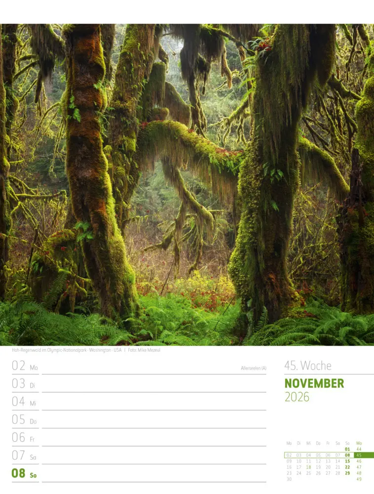 Bild: 9783838436005 | Planet Erde Wochenplaner Kalender 2026 Landschaften der Welt | GmbH