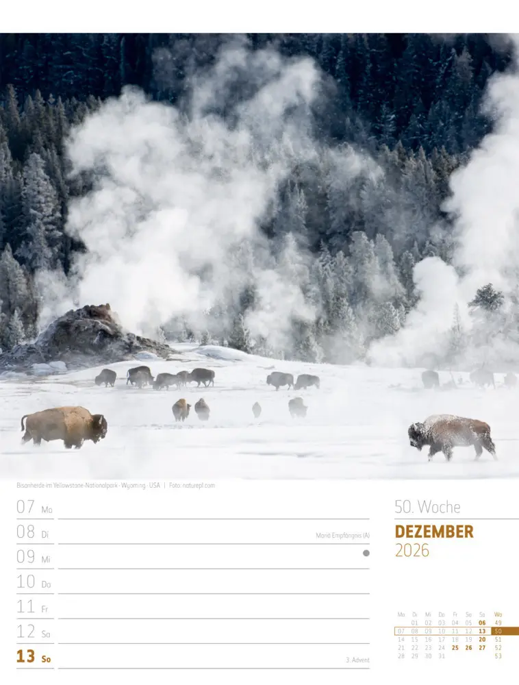 Bild: 9783838436005 | Planet Erde Wochenplaner Kalender 2026 Landschaften der Welt | GmbH