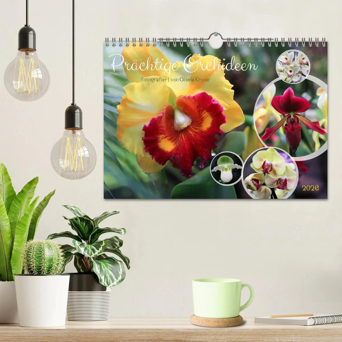 Bild: 9783457346105 | Prächtige Orchideen (Wandkalender 2026 DIN A4 quer), CALVENDO...