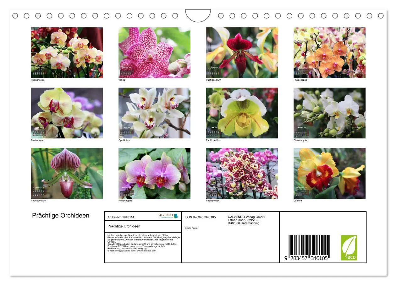 Bild: 9783457346105 | Prächtige Orchideen (Wandkalender 2026 DIN A4 quer), CALVENDO...