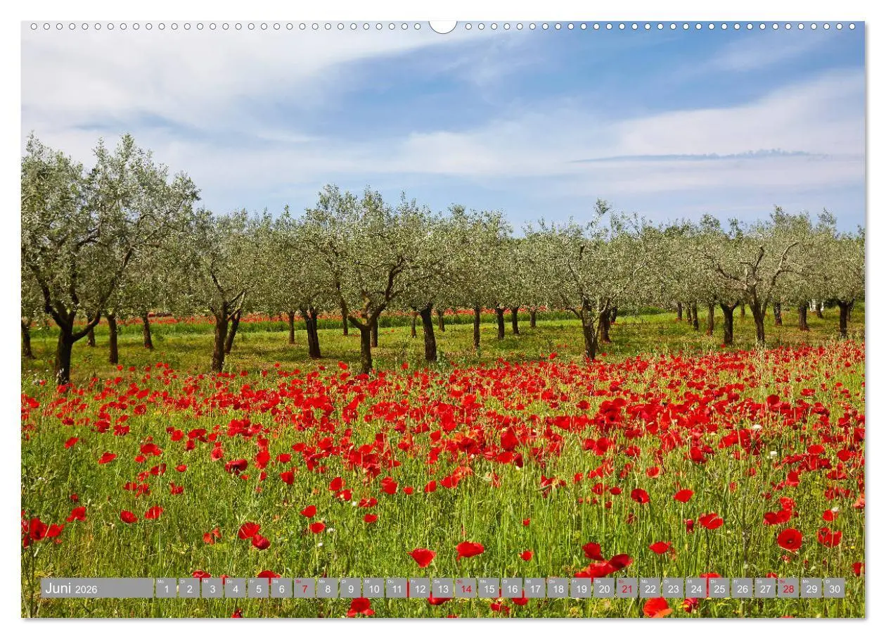 Bild: 9783457726105 | ISTRIEN (hochwertiger Premium Wandkalender 2026 DIN A2 quer),...